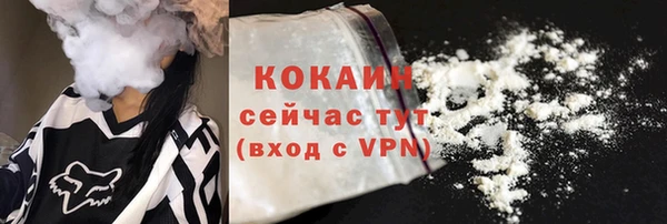 тгк Горнозаводск