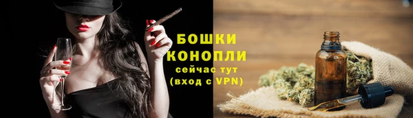гашик Анива