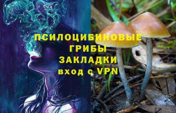 дживик Вязники