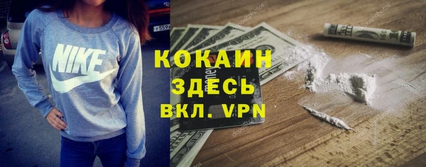 дживик Вязники